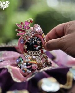 Laddu Gopal Poshak